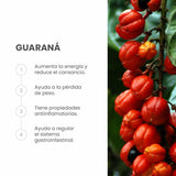 ⚡ E-BOOST: Energía natural para tu día