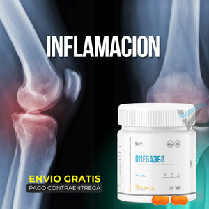 OMEGA 360 FWP